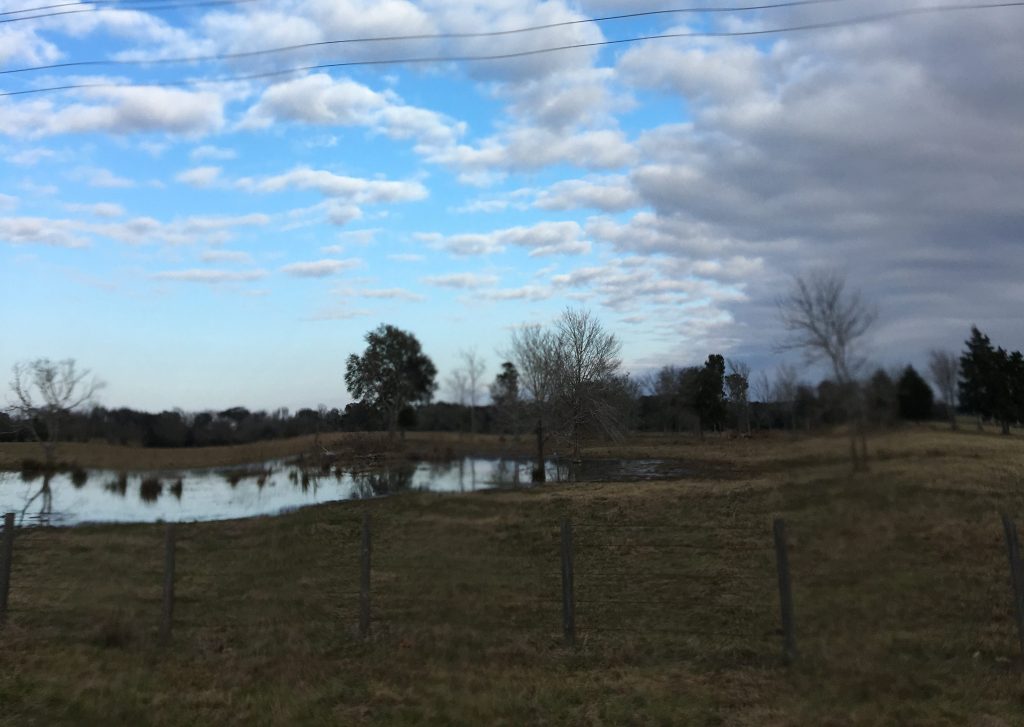 the state of our&nbsp;nation