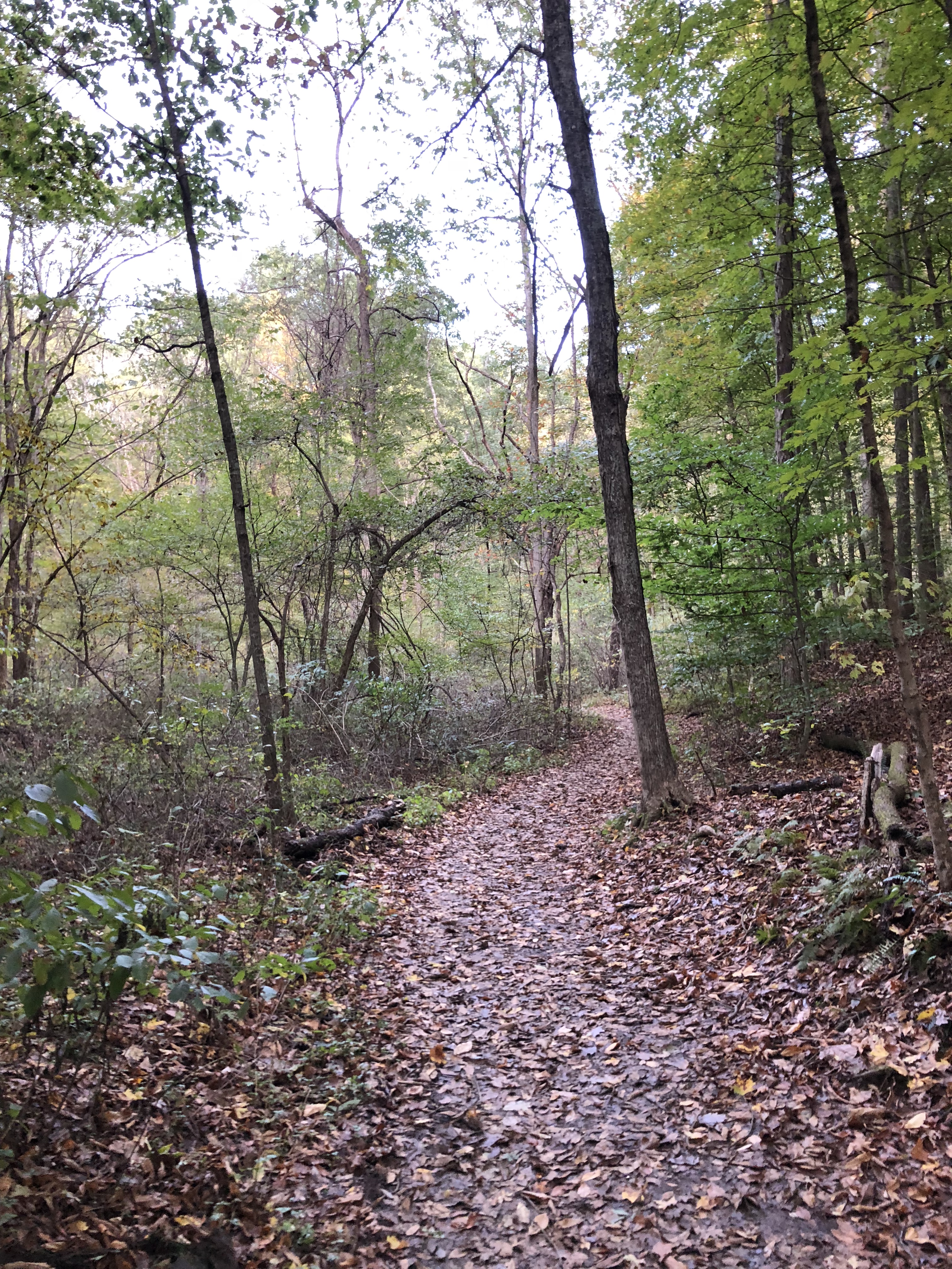 D5FBBB3D-CD89-40A7-B001-042C1E04D781